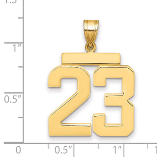14k Yellow Gold Large Polished Number 23 Charm