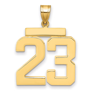14k Yellow Gold Large Polished Number 23 Charm