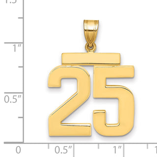 14k Yellow Gold Large Polished Number 25 Charm