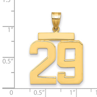 14k Yellow Gold Large Polished Number 29 Charm