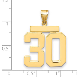 14k Yellow Gold Large Polished Number 30 Charm