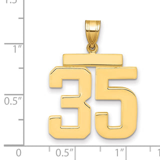 14k Yellow Gold Large Polished Number 35 Charm