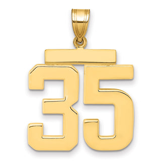 14k Yellow Gold Large Polished Number 35 Charm