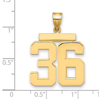 14k Yellow Gold Large Polished Number 36 Charm
