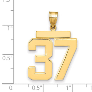 14k Yellow Gold Large Polished Number 37 Charm