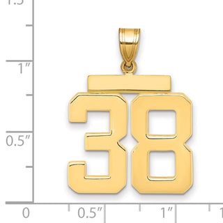 14k Yellow Gold Large Polished Number 38 Charm