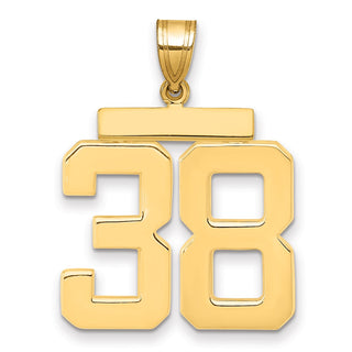 14k Yellow Gold Large Polished Number 38 Charm