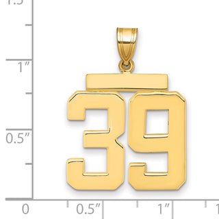 14k Yellow Gold Large Polished Number 39 Charm