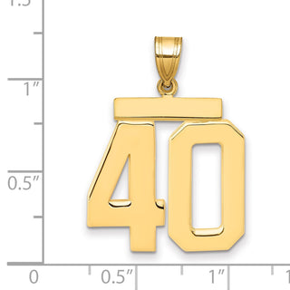 14k Yellow Gold Large Polished Number 40 Charm
