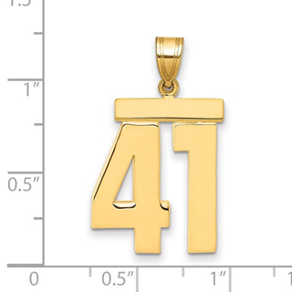 14k Yellow Gold Large Polished Number 41 Charm