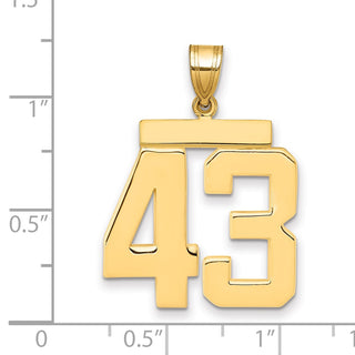 14k Yellow Gold Large Polished Number 43 Charm