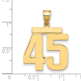 14k Yellow Gold Large Polished Number 45 Charm