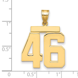 14k Yellow Gold Large Polished Number 46 Charm