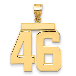 14k Yellow Gold Large Polished Number 46 Charm