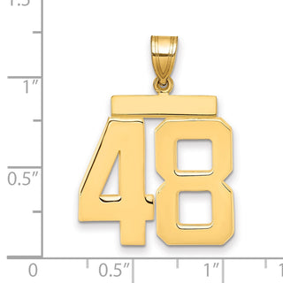 14k Yellow Gold Large Polished Number 48 Charm