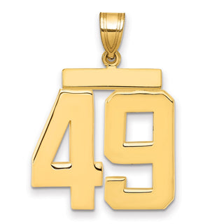 14k Yellow Gold Large Polished Number 49 Charm