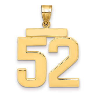 14k Yellow Gold Large Polished Number 51 Charm