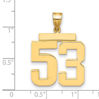 14k Yellow Gold Large Polished Number 53 Charm
