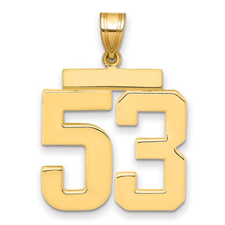 14k Yellow Gold Large Polished Number 53 Charm