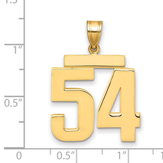14k Yellow Gold Large Polished Number 54 Charm