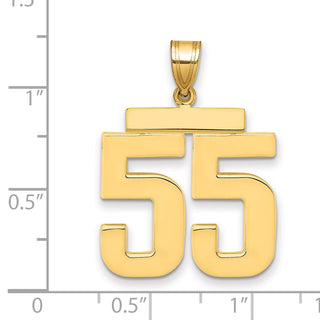 14k Yellow Gold Large Polished Number 55 Charm