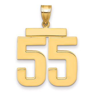 14k Yellow Gold Large Polished Number 55 Charm