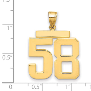 14k Yellow Gold Large Polished Number 58 Charm