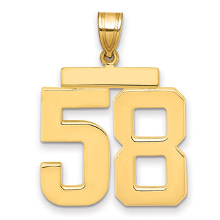 14k Yellow Gold Large Polished Number 58 Charm