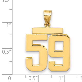 14k Yellow Gold Large Polished Number 59 Charm