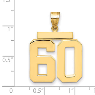 14k Yellow Gold Large Polished Number 60 Charm