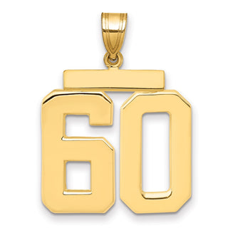 14k Yellow Gold Large Polished Number 60 Charm