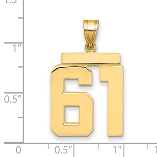 14k Yellow Gold Large Polished Number 61 Charm