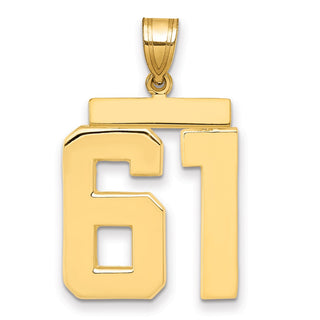 14k Yellow Gold Large Polished Number 61 Charm