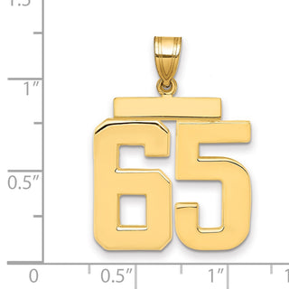 14k Yellow Gold Large Polished Number 65 Charm