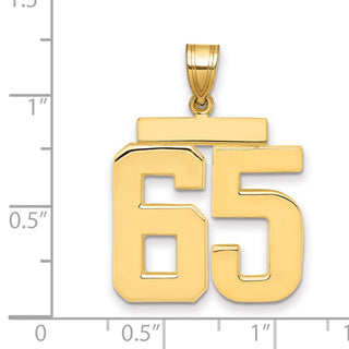 14k Yellow Gold Large Polished Number 65 Charm