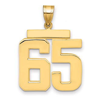 14k Yellow Gold Large Polished Number 65 Charm