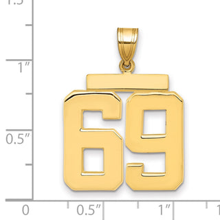 14k Yellow Gold Large Polished Number 69 Charm