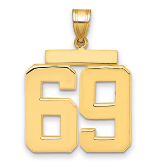 14k Yellow Gold Large Polished Number 69 Charm
