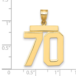 14k Yellow Gold Large Polished Number 70 Charm