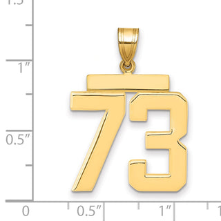 14k Yellow Gold Large Polished Number 73 Charm