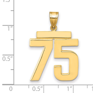 14k Yellow Gold Large Polished Number 75 Charm