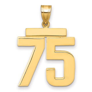 14k Yellow Gold Large Polished Number 75 Charm