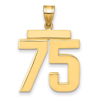 14k Yellow Gold Large Polished Number 75 Charm