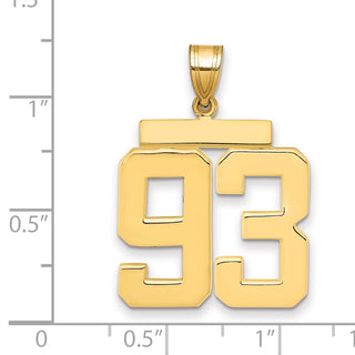 14k Yellow Gold Large Polished Number 93 Charm