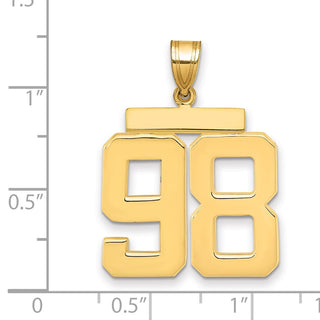 14k Yellow Gold Large Polished Number 98 Charm