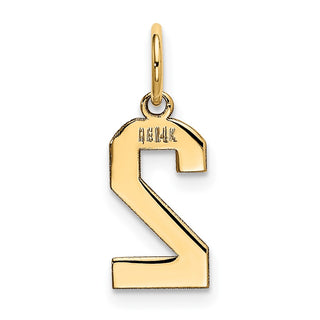 14k Yellow Gold Small Polished Number 2 Charm
