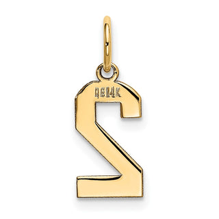 14k Yellow Gold Small Polished Number 2 Charm