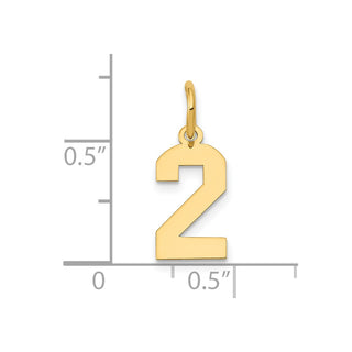 14k Yellow Gold Small Polished Number 2 Charm