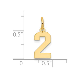 14k Yellow Gold Small Polished Number 2 Charm