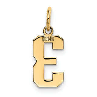14k Yellow Gold Small Polished Number 3 Charm